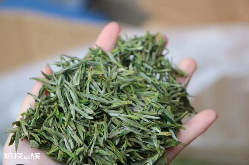 绿茶有哪些品种名称(国内知名的5种绿茶种类及图片)-图片9